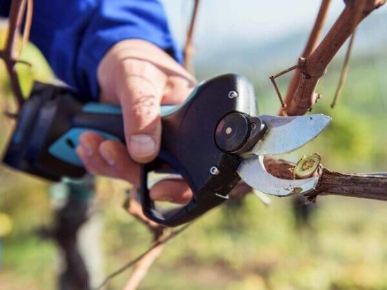 Fotografija izdelka Škarje baterijske Stark M Campagnola