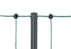 Fotografija izdelka Mreža za perutnino Premium  (50 m x 122 cm) - enojna konica - NEelektrična