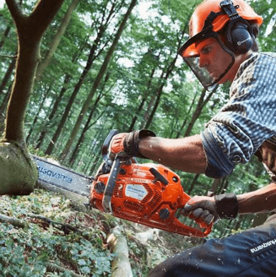 Fotografija izdelka Verižna motorna žaga Husqvarna 555 (15")