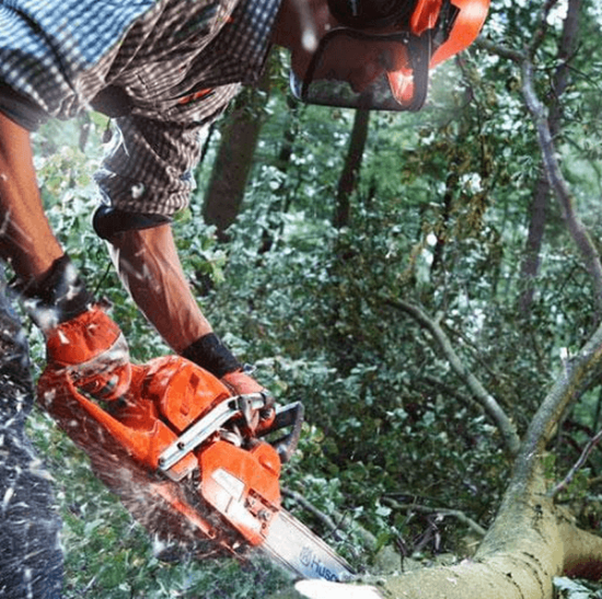 Fotografija izdelka Verižna motorna žaga Husqvarna 555 (15")