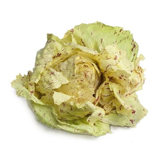 Fotografija izdelka Semena Radič Variegata di Castelfranco, 50 g 