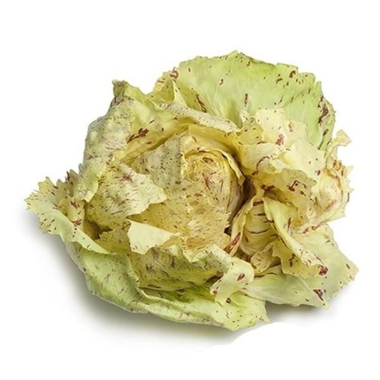 Fotografija izdelka Semena Radič Variegata di Castelfranco 200 g 